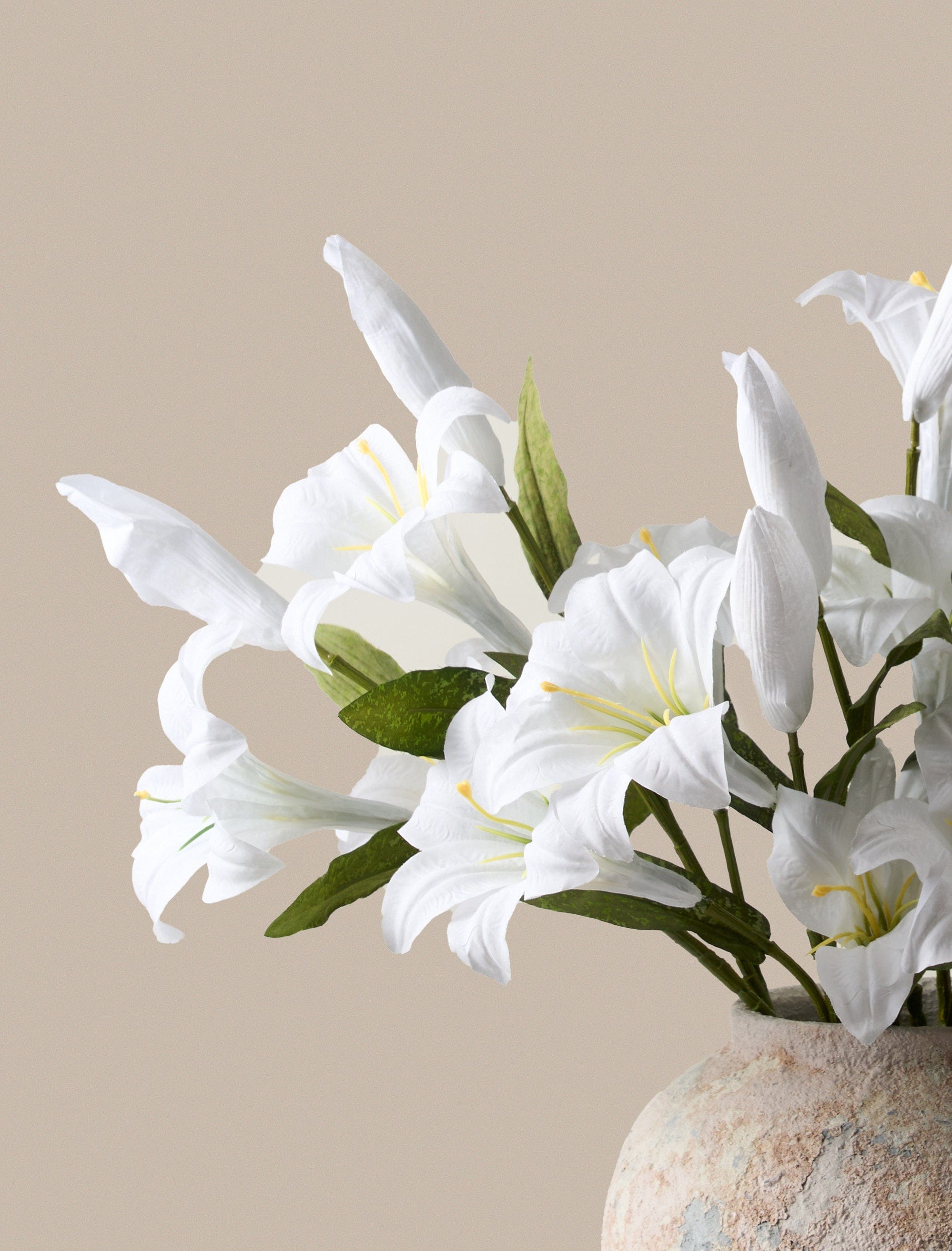 Faux Lily – contempee