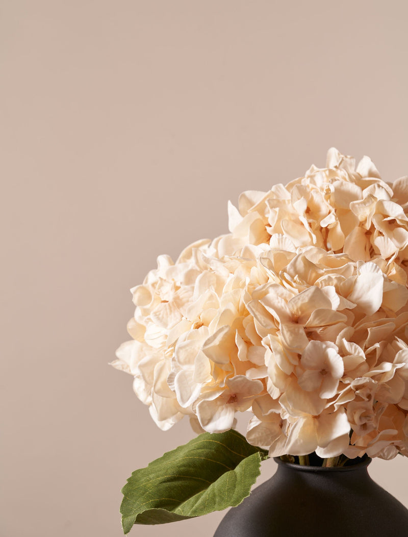 Faux Hydrangea Bouquet - Cream (4 stems)