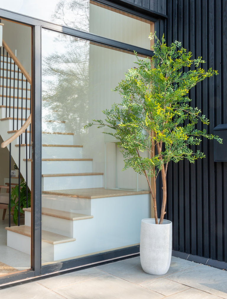 Faux Ruscus Tree (Indoor or Outdoor)