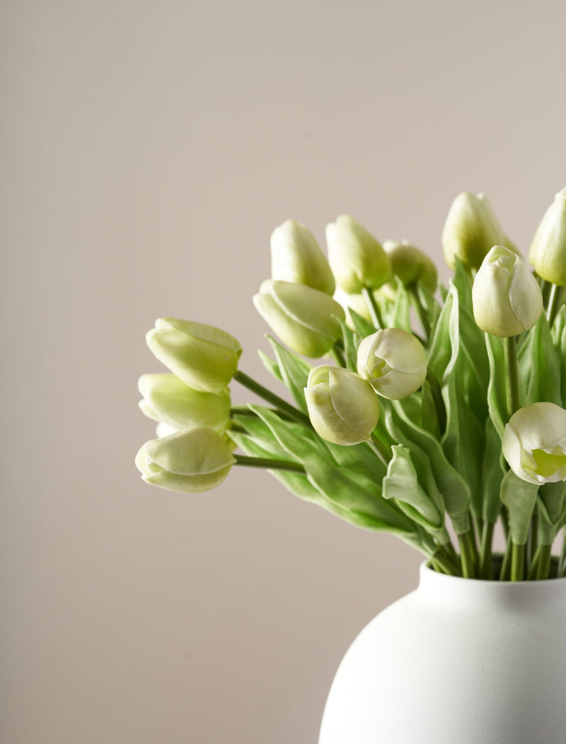 Faux Tulip - Green (25 Stems)