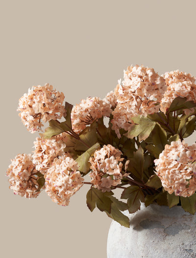 Faux Viburnum Flower - Apricot (7 stems / 21 heads)