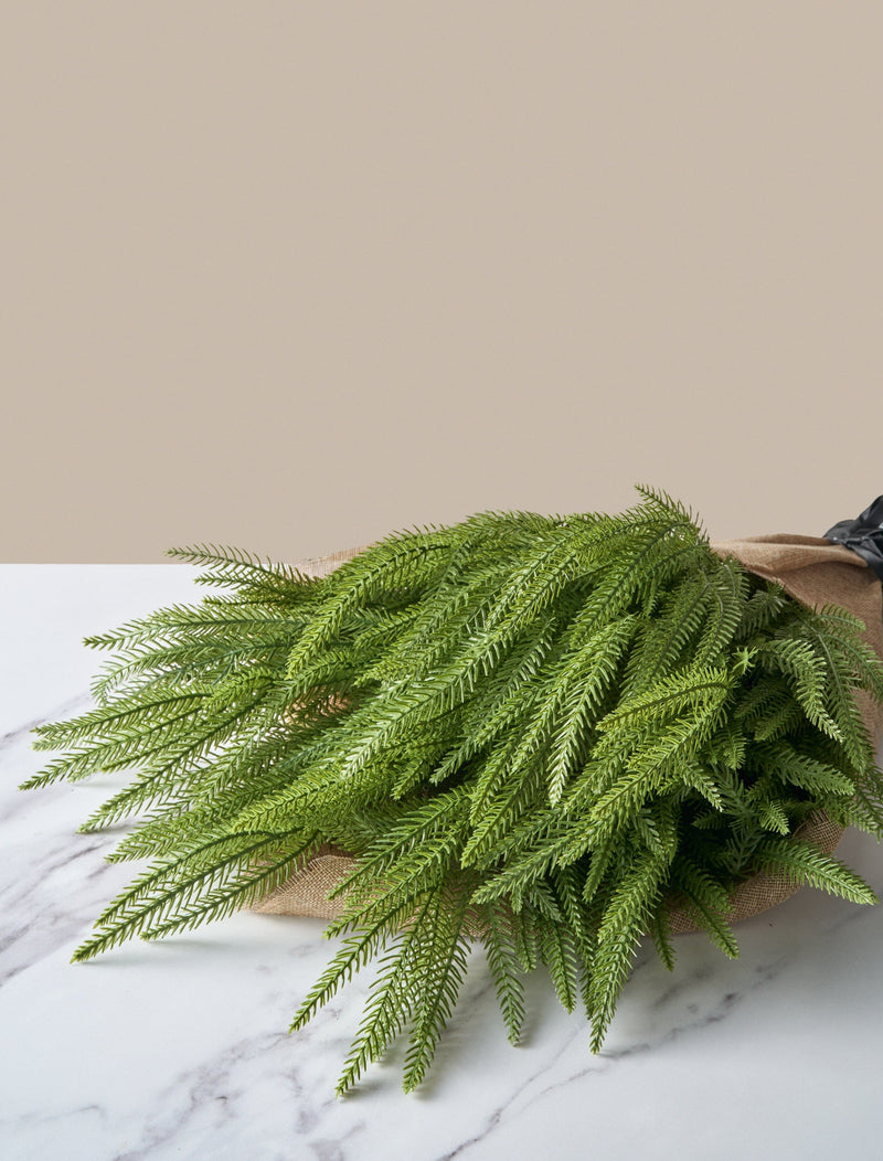 Faux Arrangement - Norfolk Pine Stems