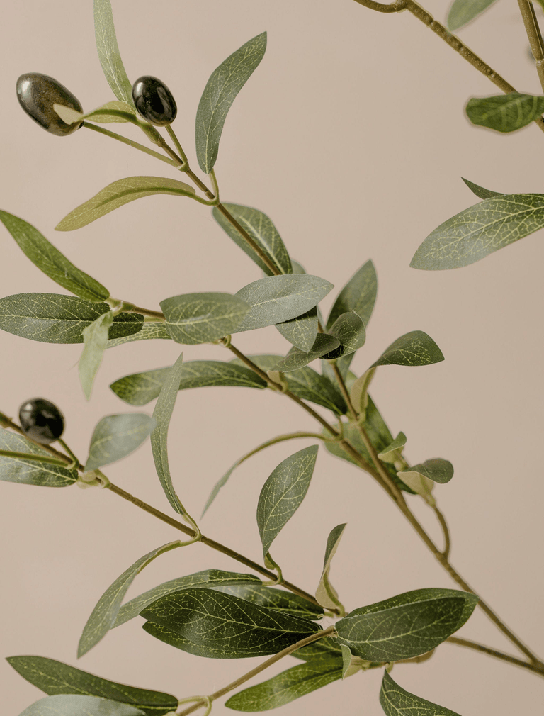 Faux Olive Oversized Branch (2 branches)