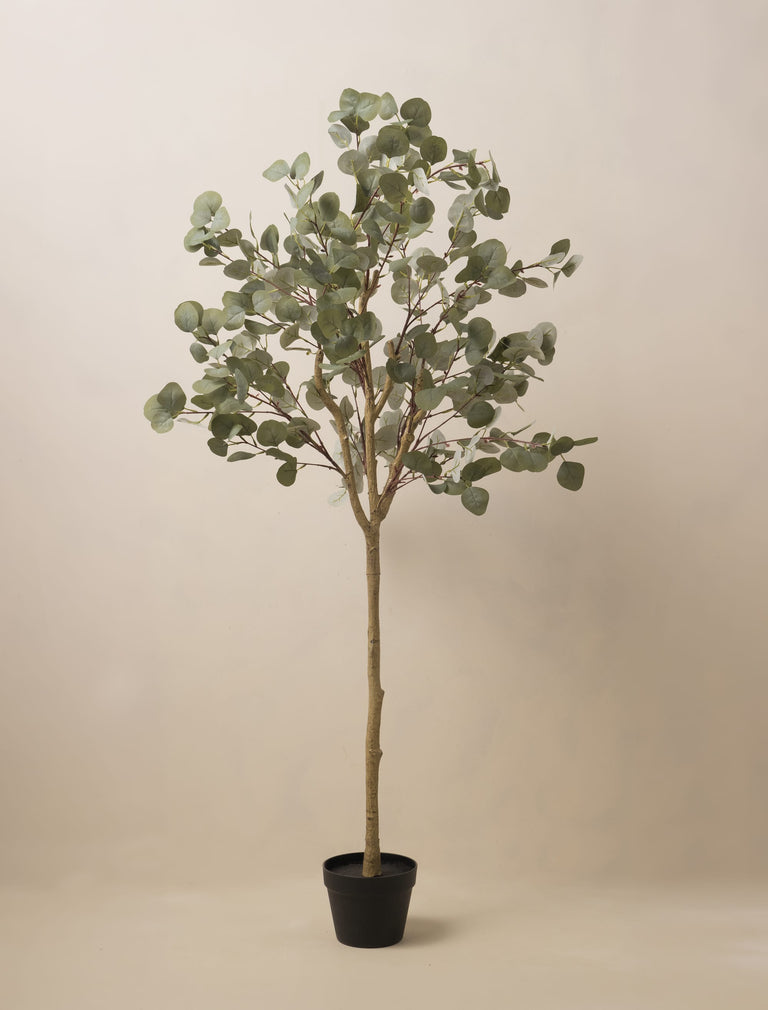 Faux Eucalyptus Tree 160cm / 5ft 2"