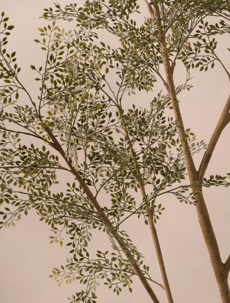 Faux Ruscus Tree (Indoor or Outdoor)