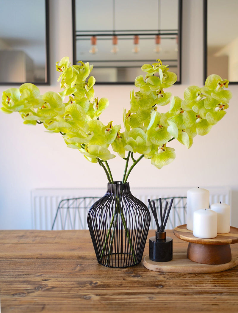 Faux Orchid - Lime (4 stems)