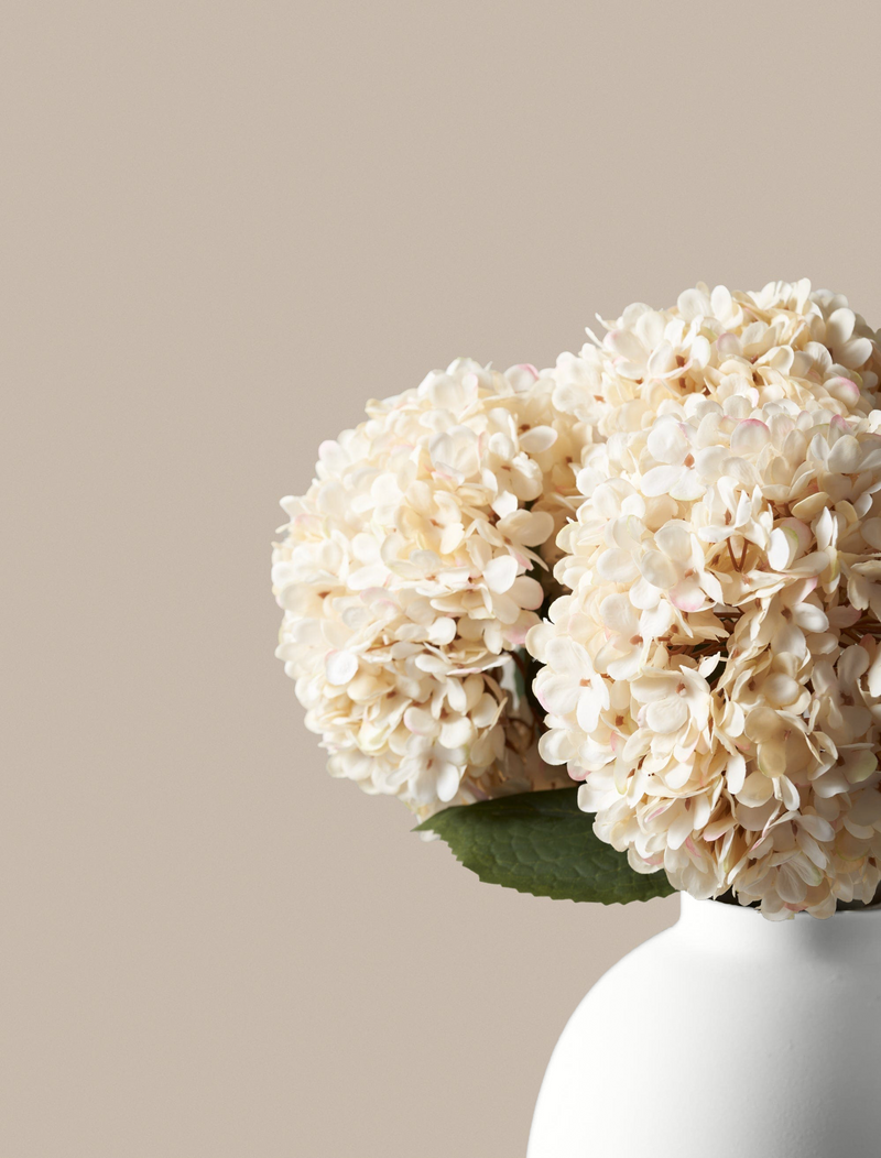 Large Faux Hydrangea - Cream (5 Stems)